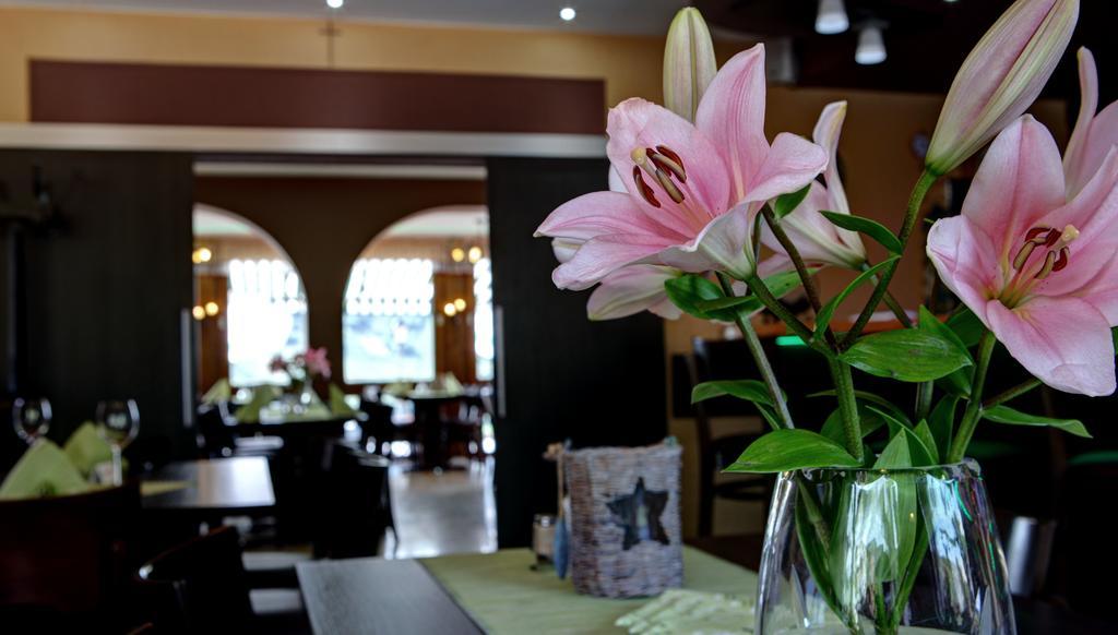 Hotel Restaurant Moselblick Wintrich Exteriör bild